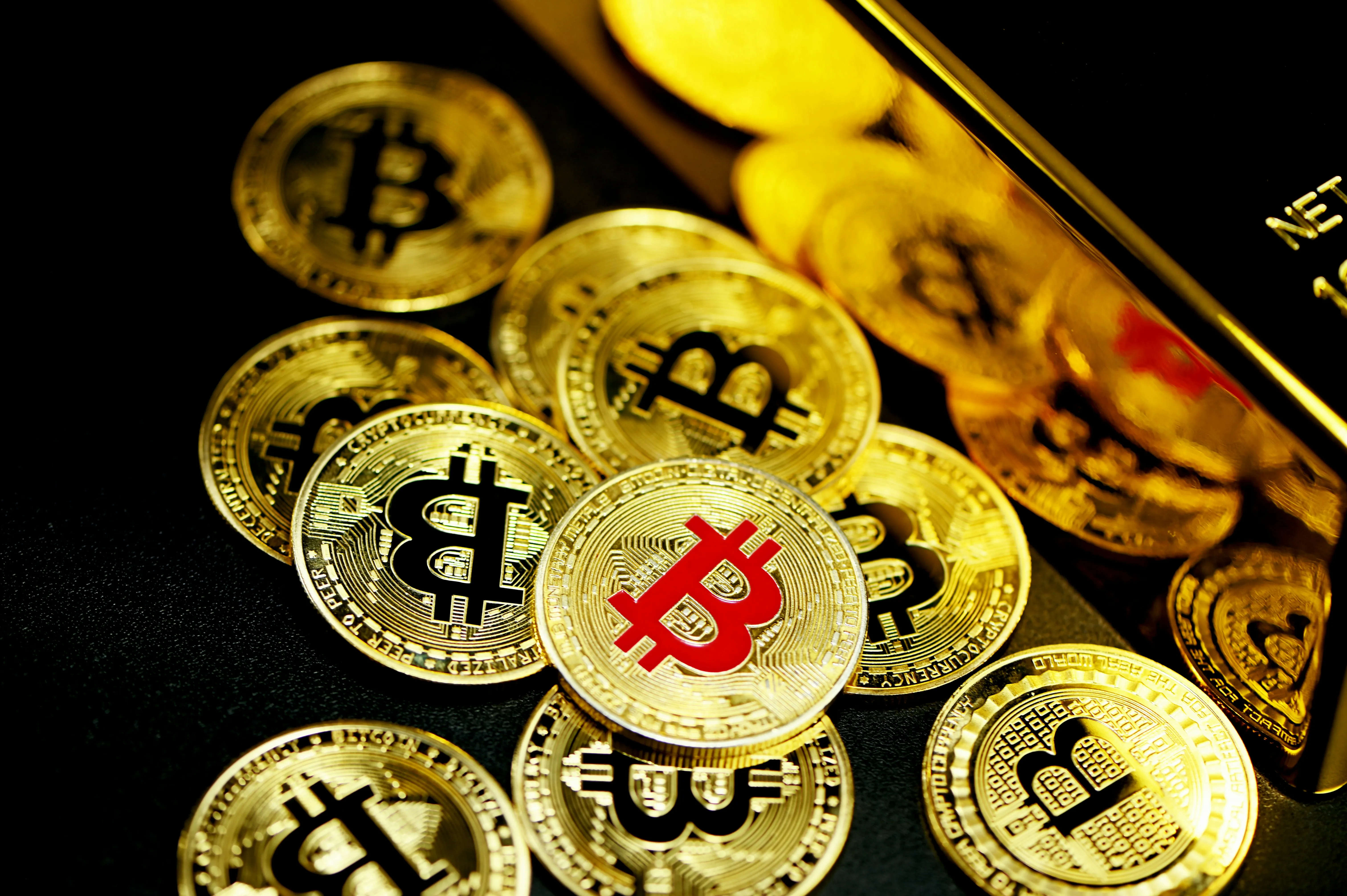 Nghiên cứu gà trước khi cược W88